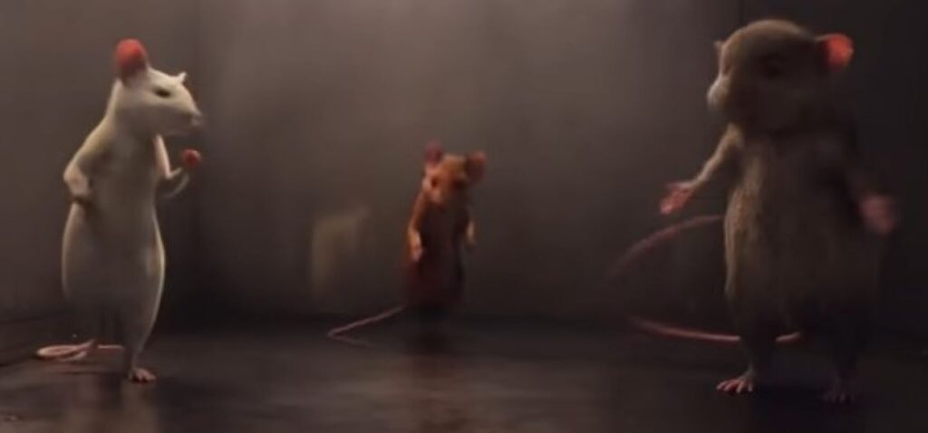Daisy, Charlie, & Bruno as mice in The Witches 2020 movie