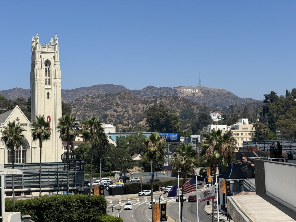 Fifi Leigh Photography from August 2024